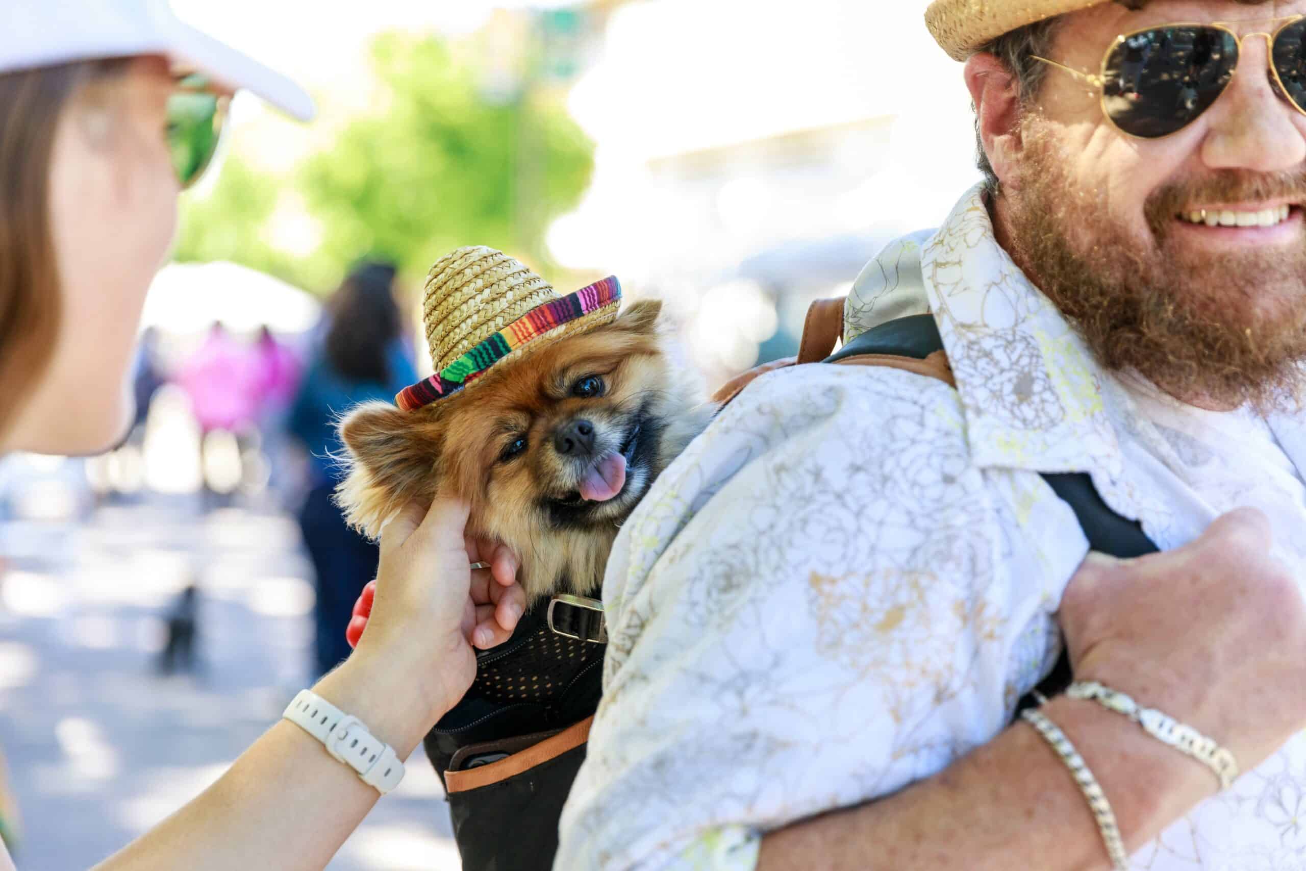 Joybound Around Town on Broadway