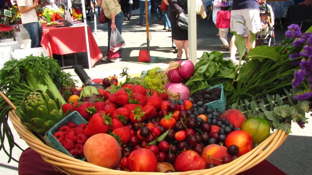 Mobile Adoptions at the Diablo Valley Farmers’ Market