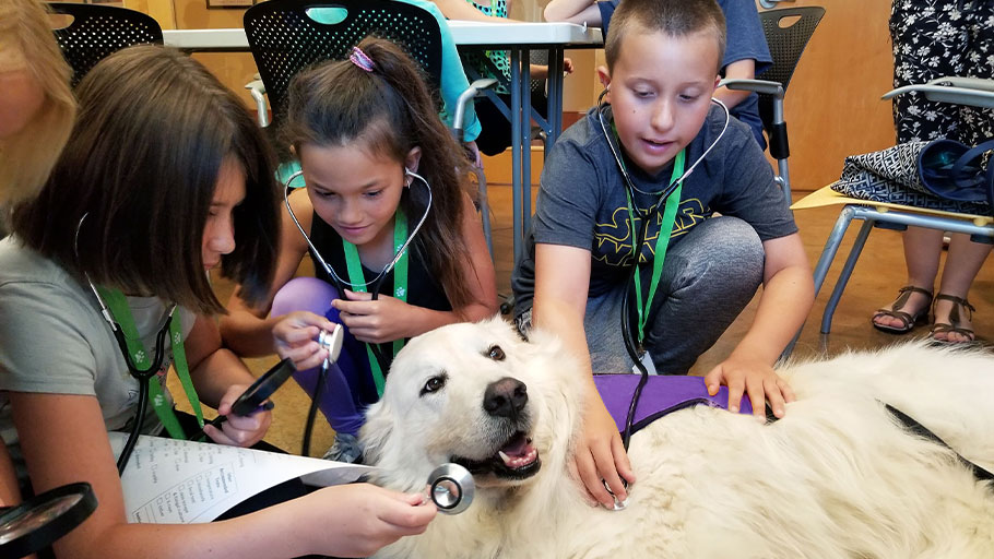 Camp Joybound (Summer Week 5)