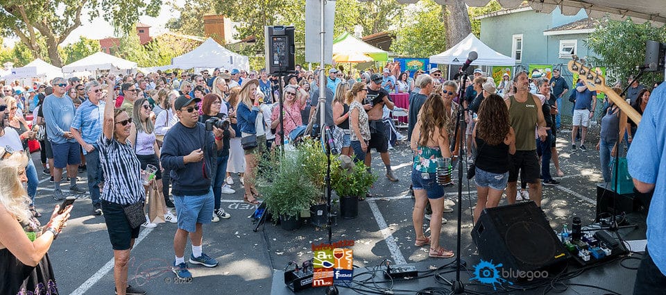Mobile Adoptions at the Lafayette Art & Wine Festival