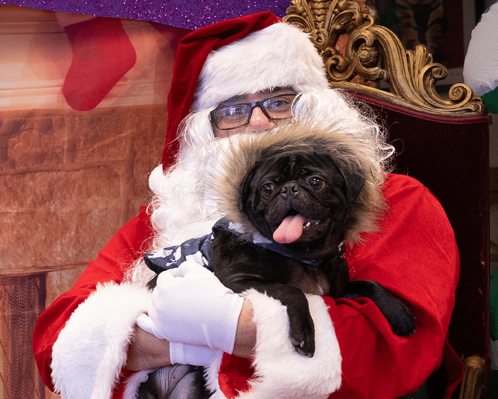 Holiday Pet Photos with Santa