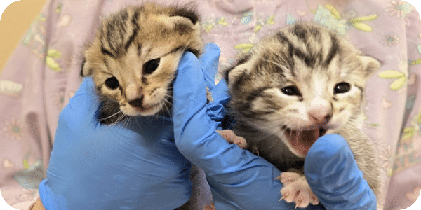 June 2025 eNewsletter