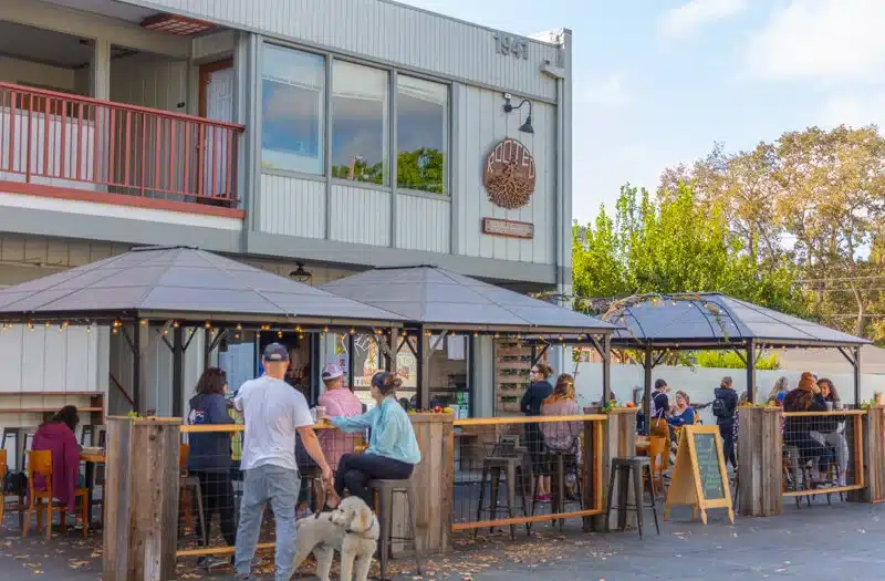 Mobile Adoptions at Rooted Coffee Co.