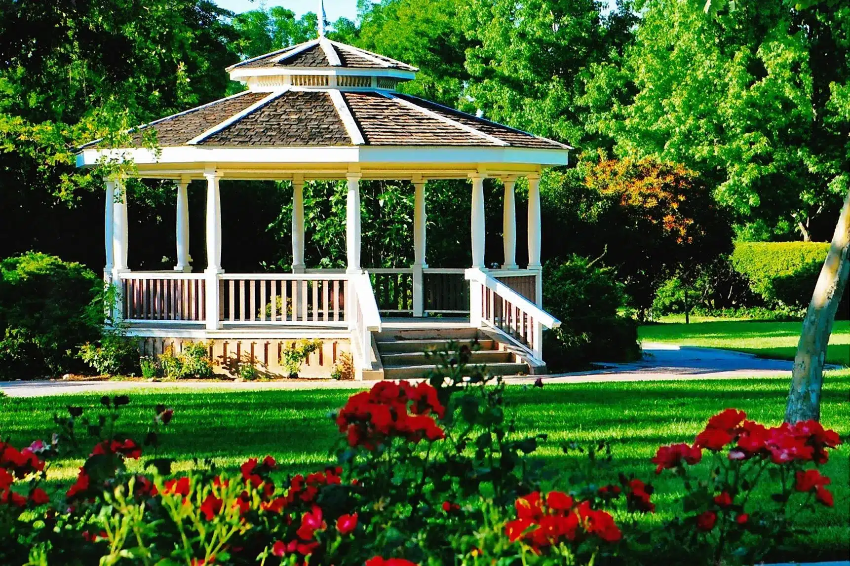 Mobile Adoptions at the Walnut Creek Summer Market