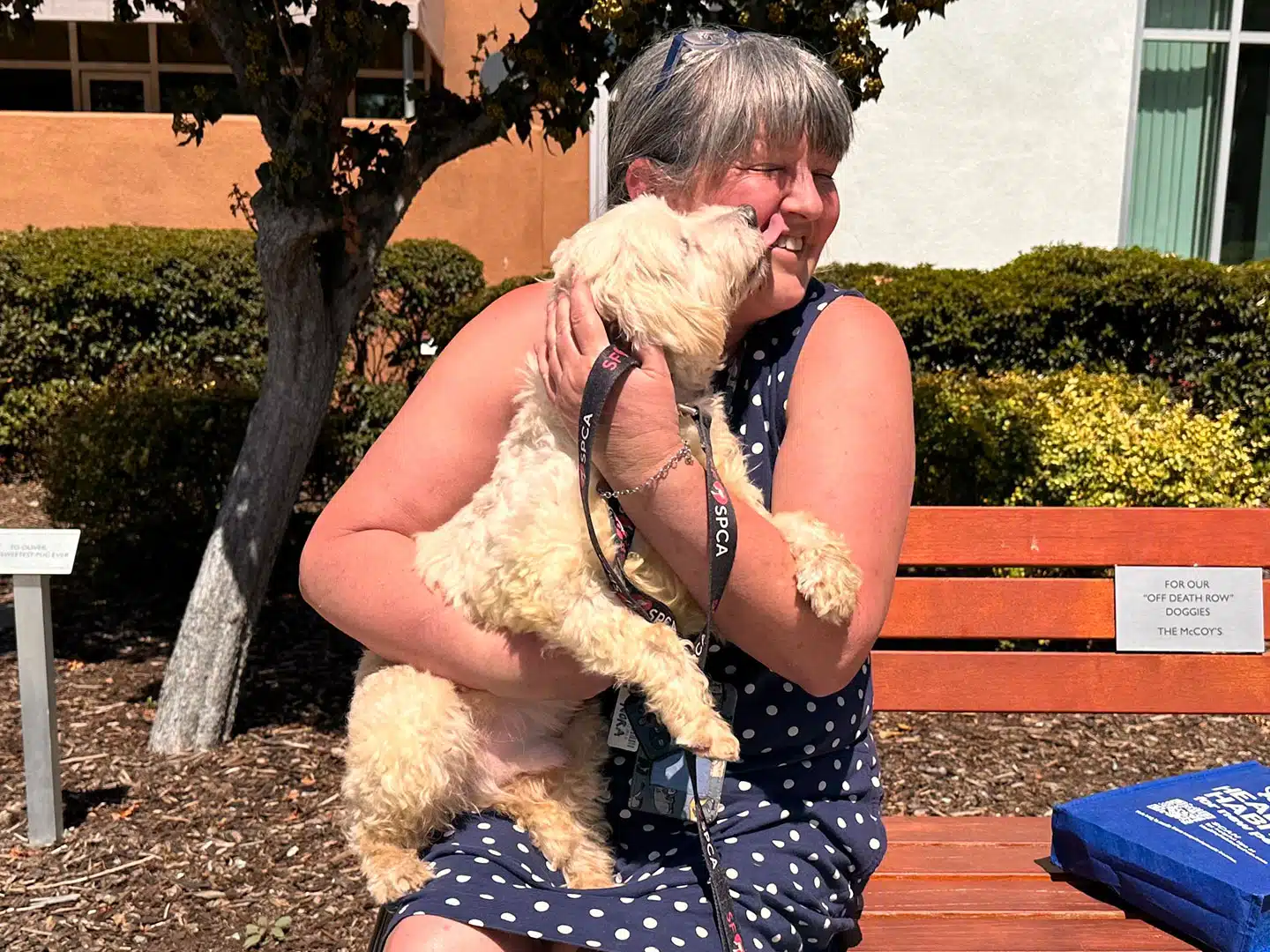 Adoption Recap – Week of August 25