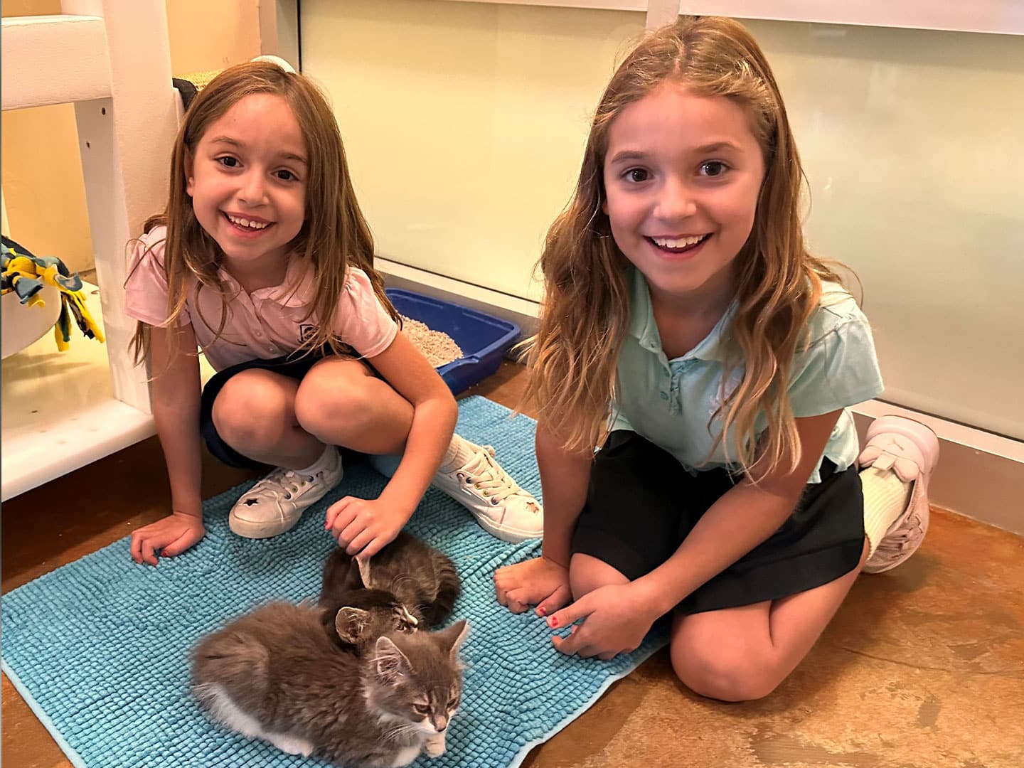 Joybound Recap – Week of October 20