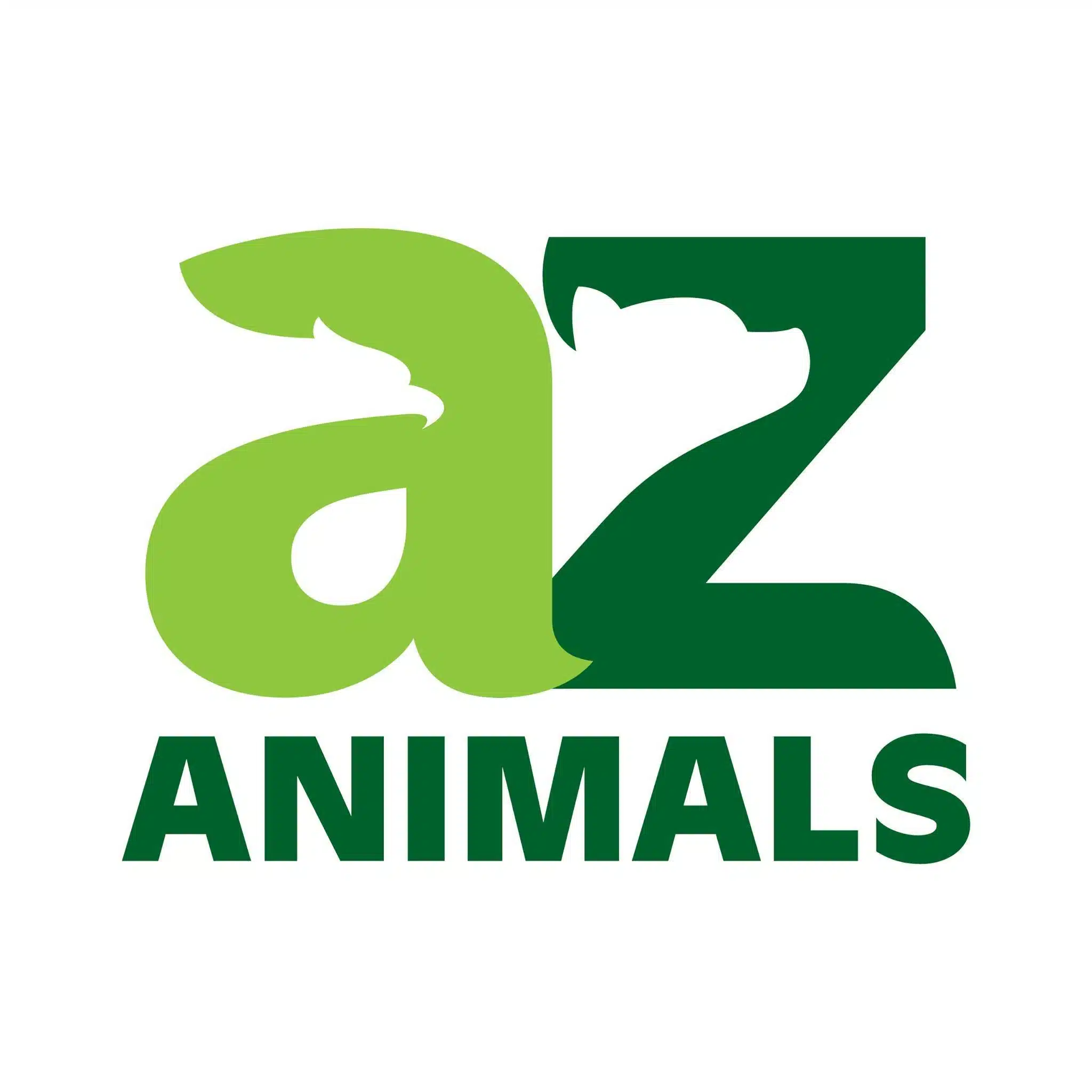 How Rescue Animals Help Veterans Heal and Find Purpose (via A-Z Animals)