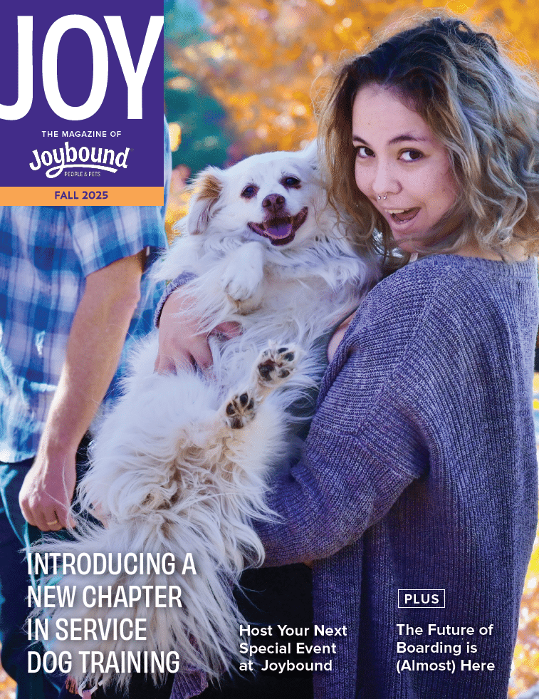 Joy Magazine – Fall 2025