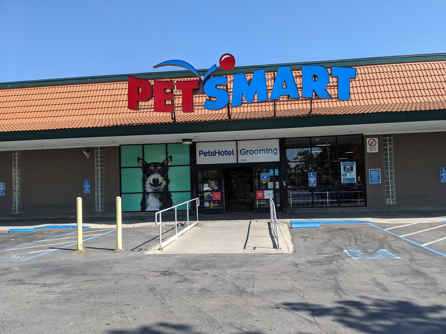 Mobile Adoptions at PetSmart (Concord)