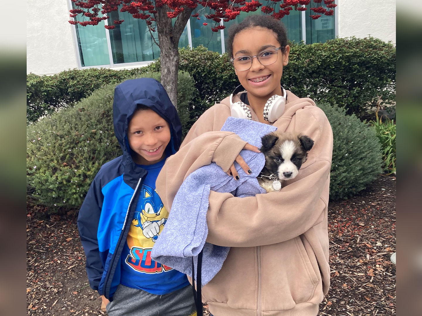 Adoption Recap – Week of December 22