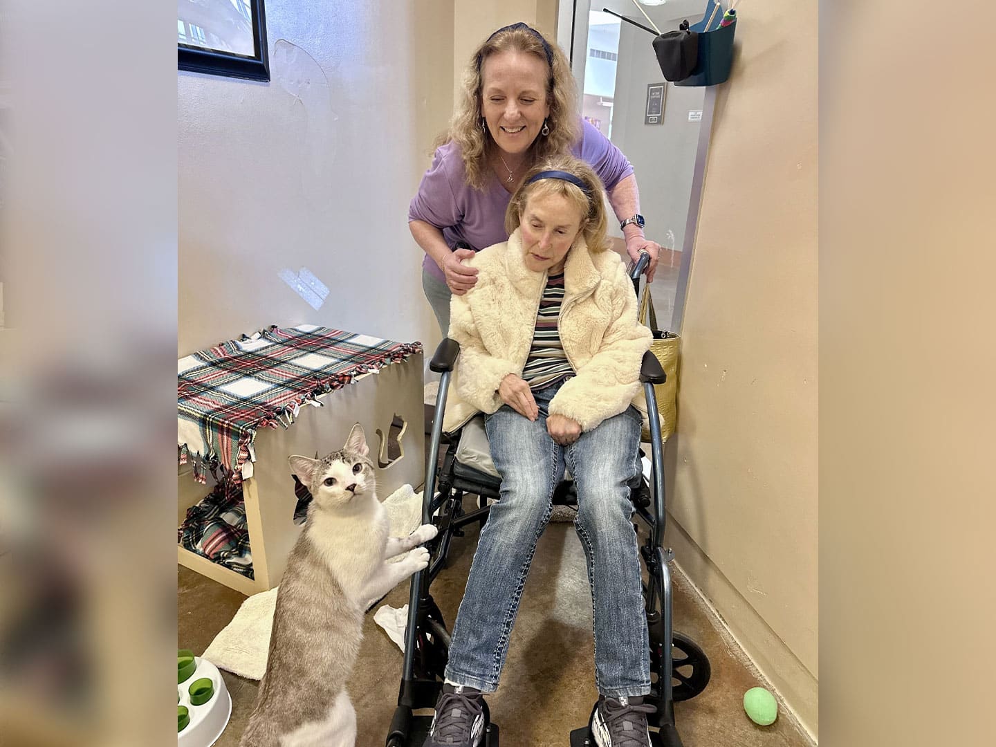 Adoption Recap – Week of January 19