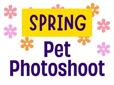 Spring Pet Photoshoot