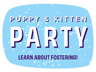 Puppy & Kitten Party 2026