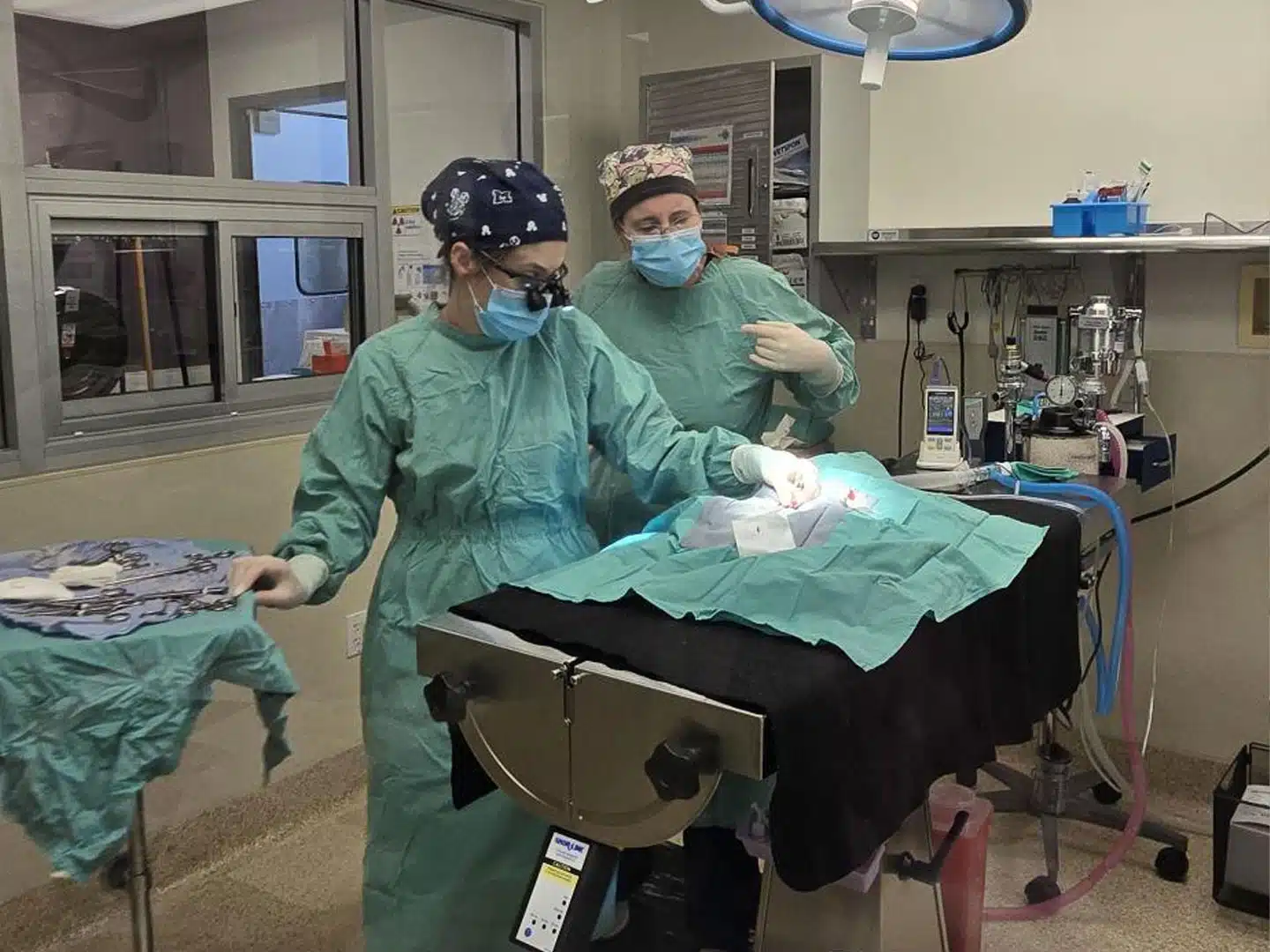 Community Cat Fix Fest Recap – March 28