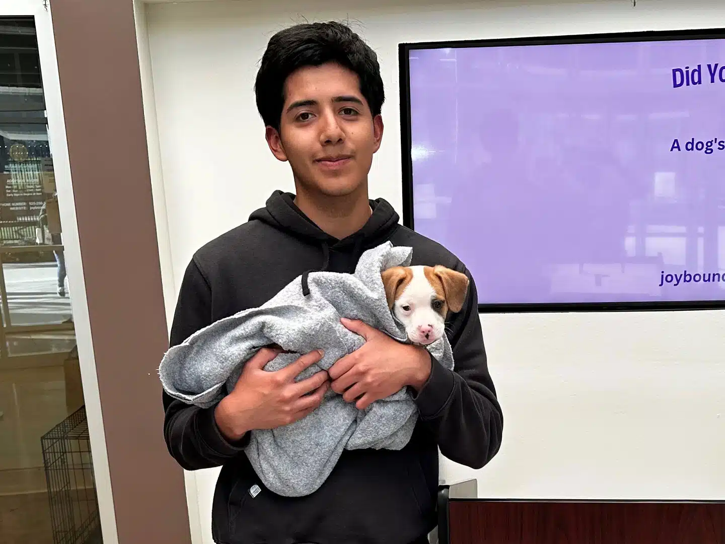 Adoption Recap – Week of March 2