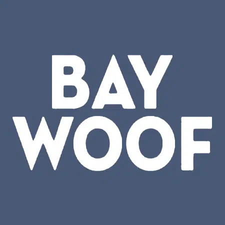 From Heartbreak to Home: How Timmy Found His Second Chance (via Bay Woof)