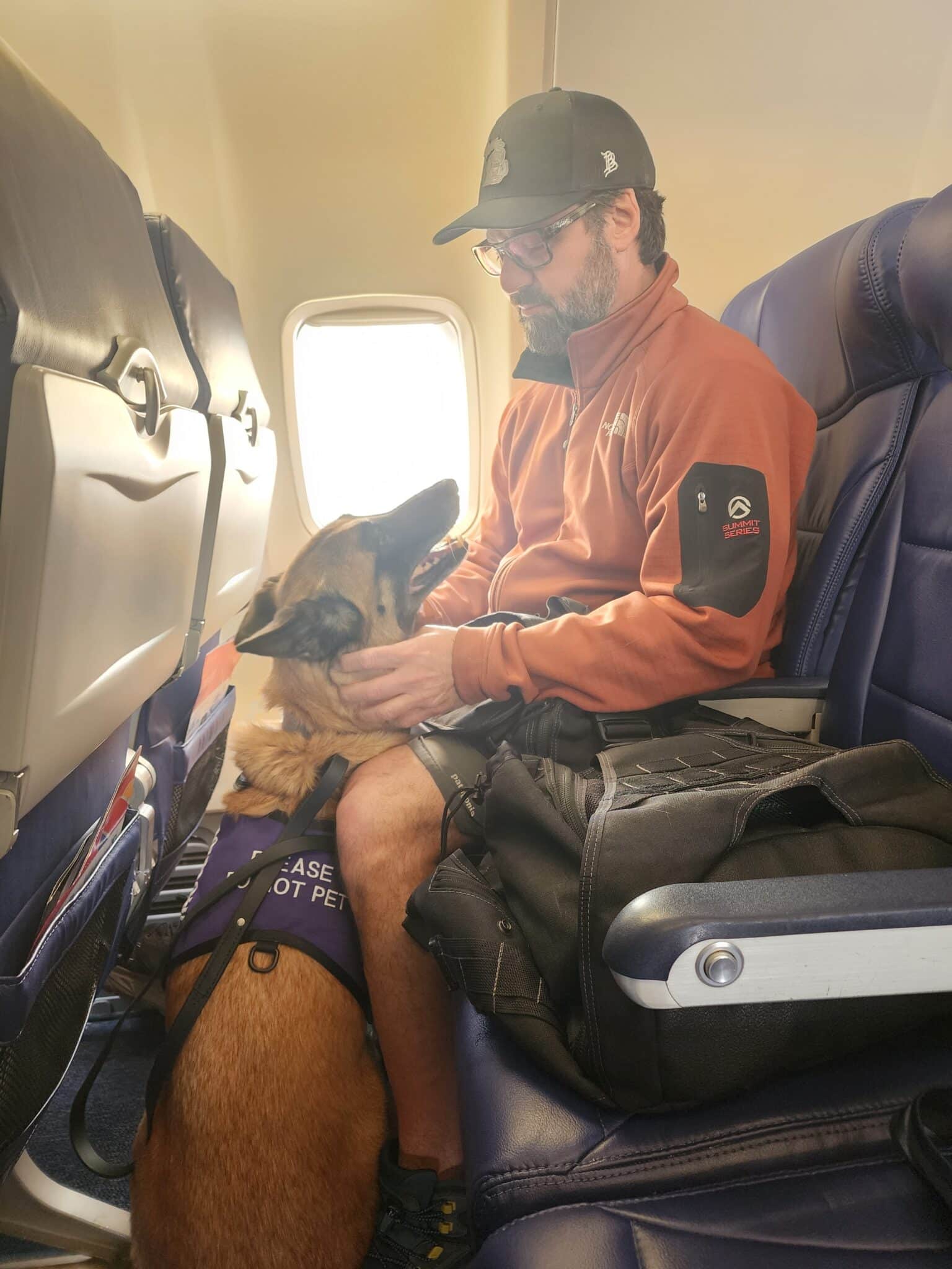 Cleared for Takeoff, Powered by Paws